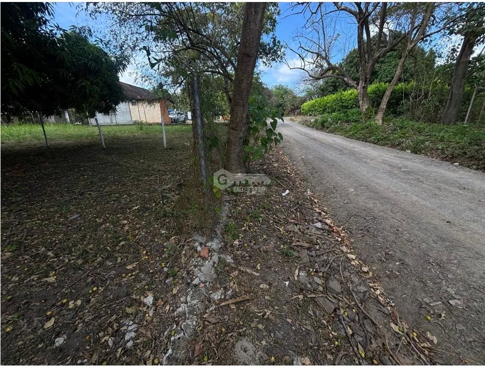 GORGONA / CHAME / TERRENO PLANO / 360M / CERCA DE PLAYA
