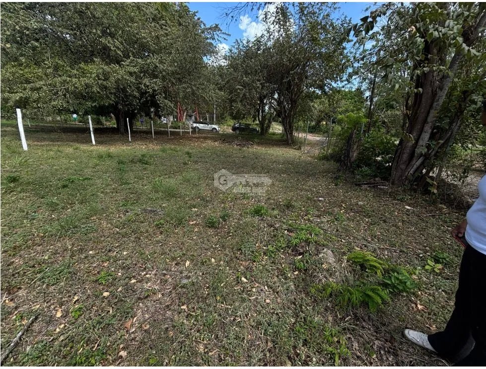 GORGONA / CHAME / TERRENO PLANO / 360M / CERCA DE PLAYA