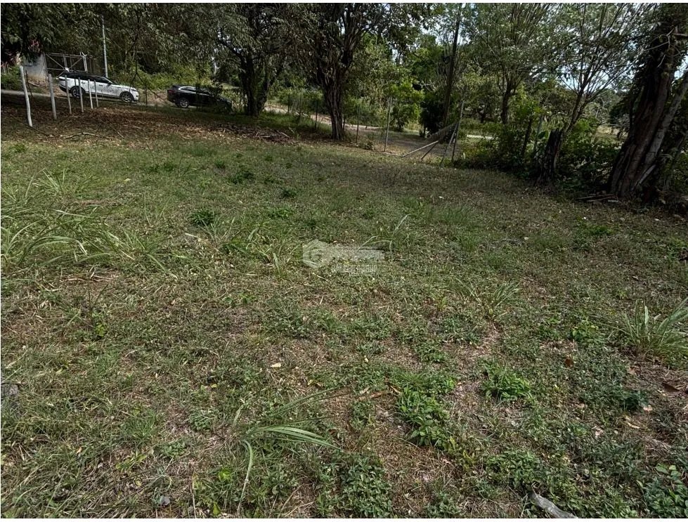 GORGONA / CHAME / TERRENO PLANO / 360M / CERCA DE PLAYA
