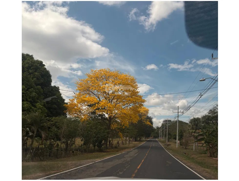 CHAME / GORGONA / TERRENO / 360M / EN ESQUINA / CERCA DE PLAYA