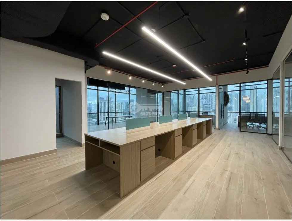 CALLE 50 / TOWER FINANCIAL CENTER / OFICINA / 251M / AMOBLADA
