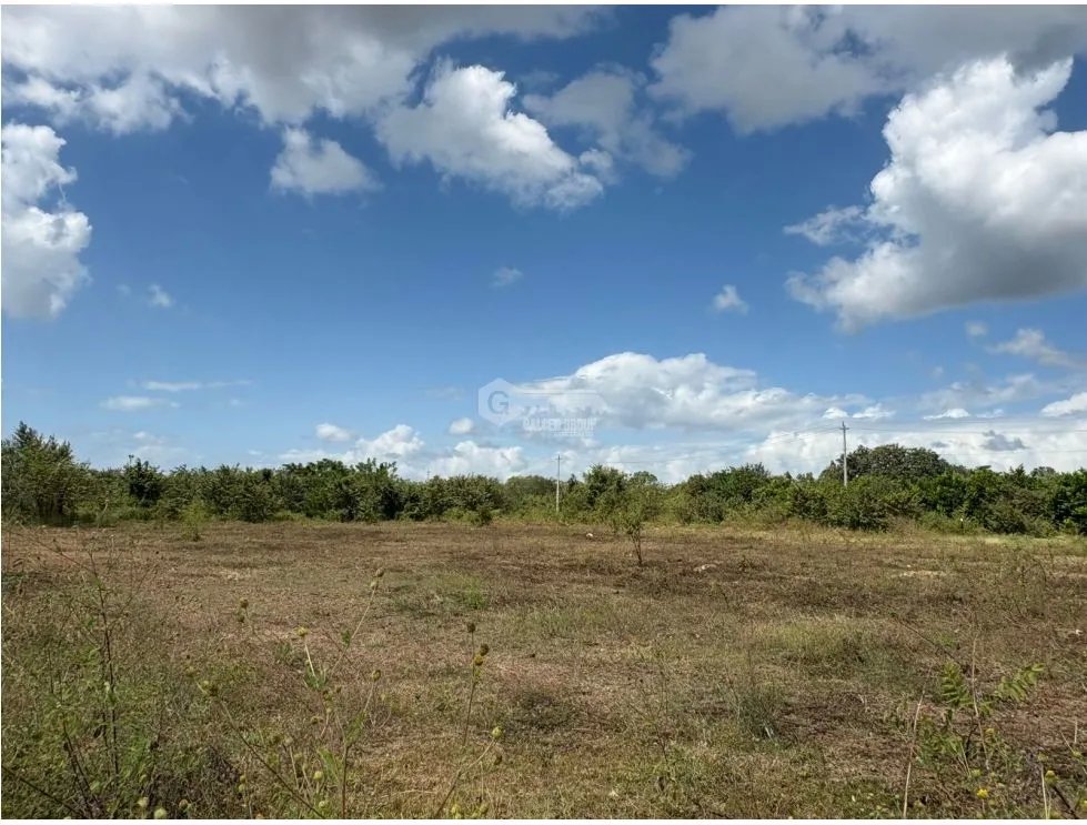 COCLE / RIO HATO / 110 HECTAREAS / SOBRE LA VIA / USO COMERCIAL / AG