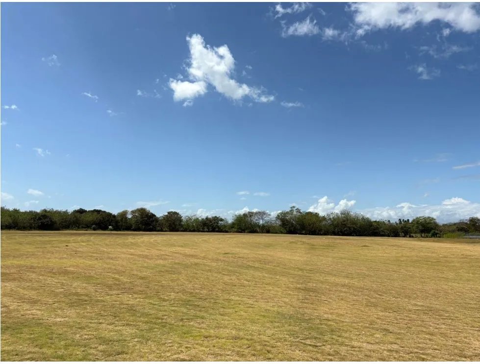 COCLE / RIO HATO / 110 HECTAREAS / SOBRE LA VIA / USO COMERCIAL / AG