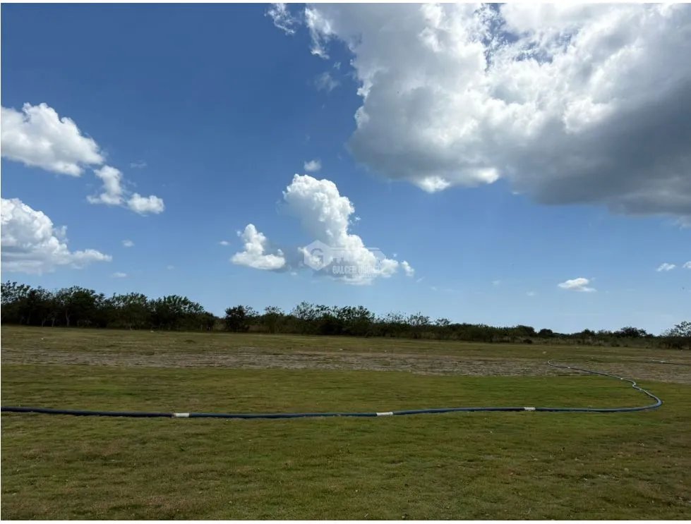 COCLE / RIO HATO / 110 HECTAREAS / SOBRE LA VIA / USO COMERCIAL / AG