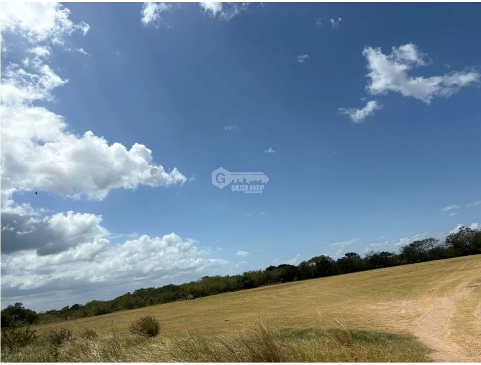 COCLE / RIO HATO / 110 HECTAREAS / SOBRE LA VIA / USO COMERCIAL / AG