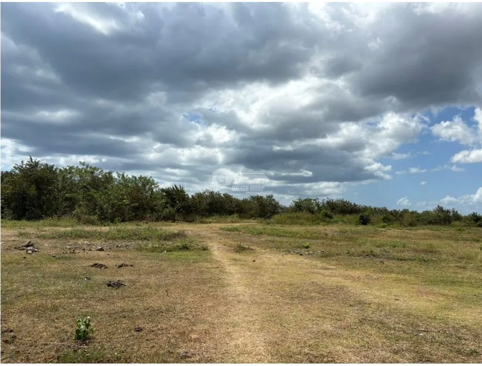 COCLE / RIO HATO / 110 HECTAREAS / SOBRE LA VIA / USO COMERCIAL / AG
