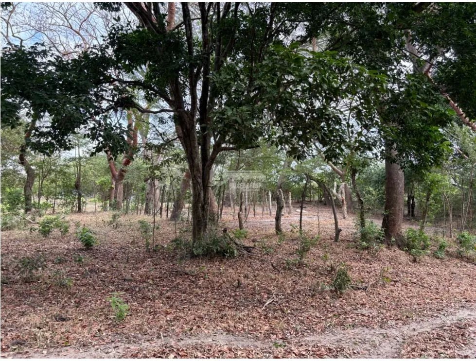 SAN CARLOS / LAS LAGARTIJAS / 250000M / GANADERIA / USO COMERCIAL AG