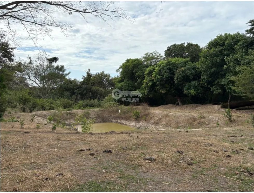 SAN CARLOS / LAS LAGARTIJAS / 250000M / GANADERIA / USO COMERCIAL AG
