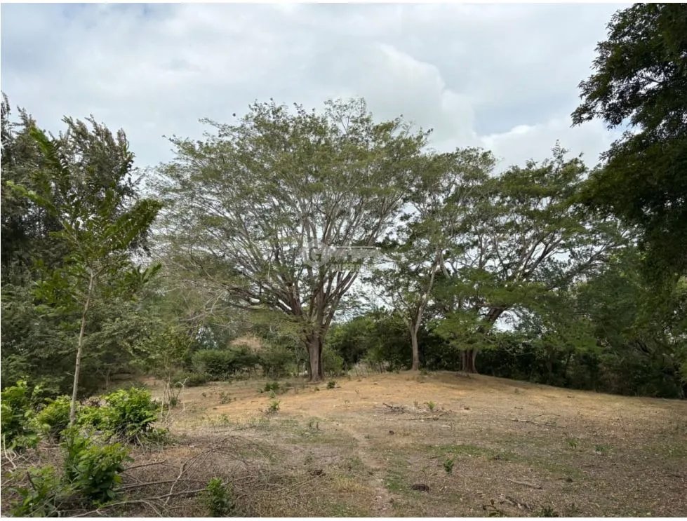 Building Lot for sale in San Carlos