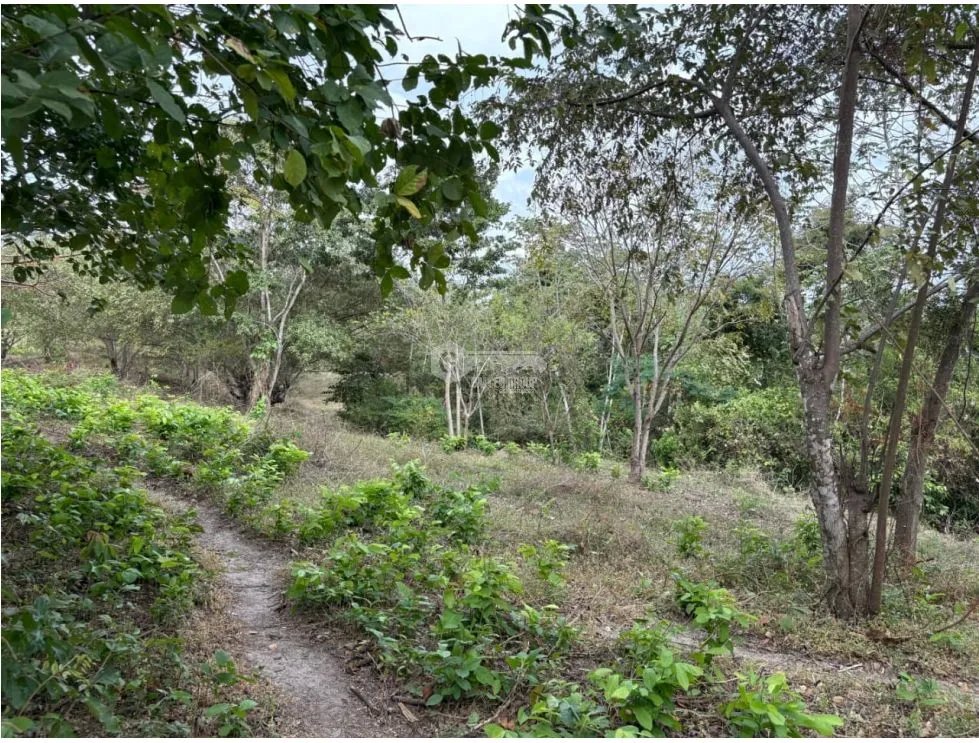Building Lot for sale in San Carlos