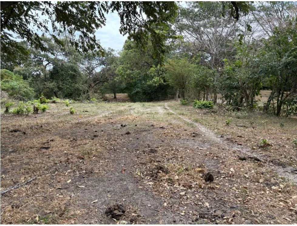 Building Lot for sale in San Carlos