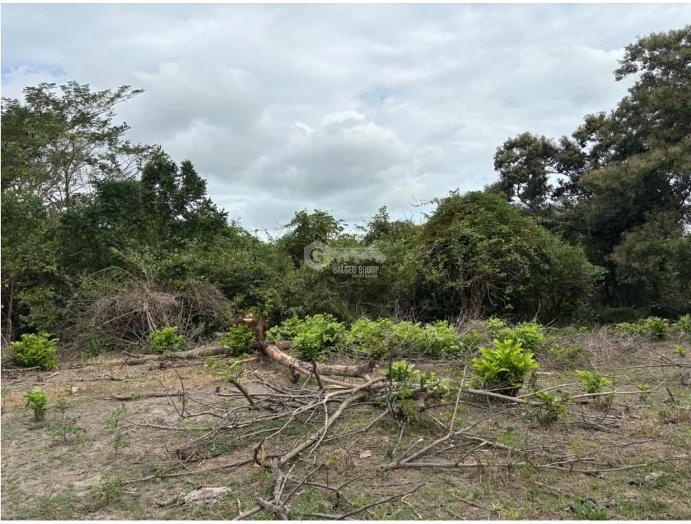 Building Lot for sale in San Carlos