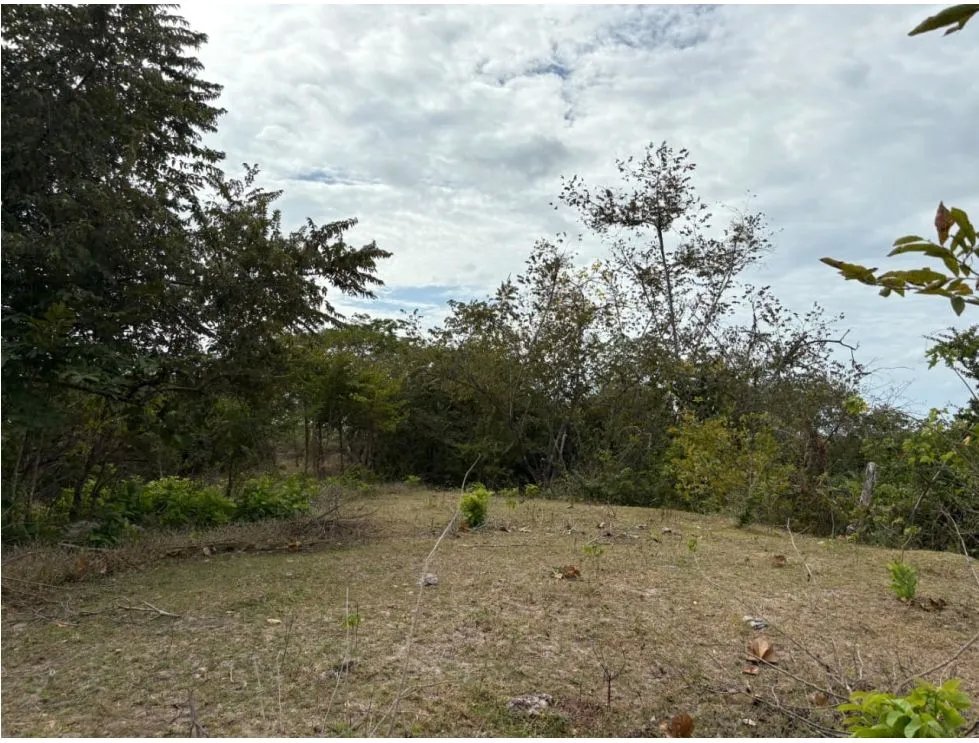Building Lot for sale in San Carlos