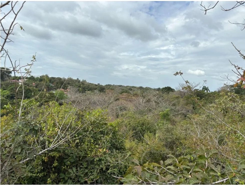 Building Lot for sale in San Carlos