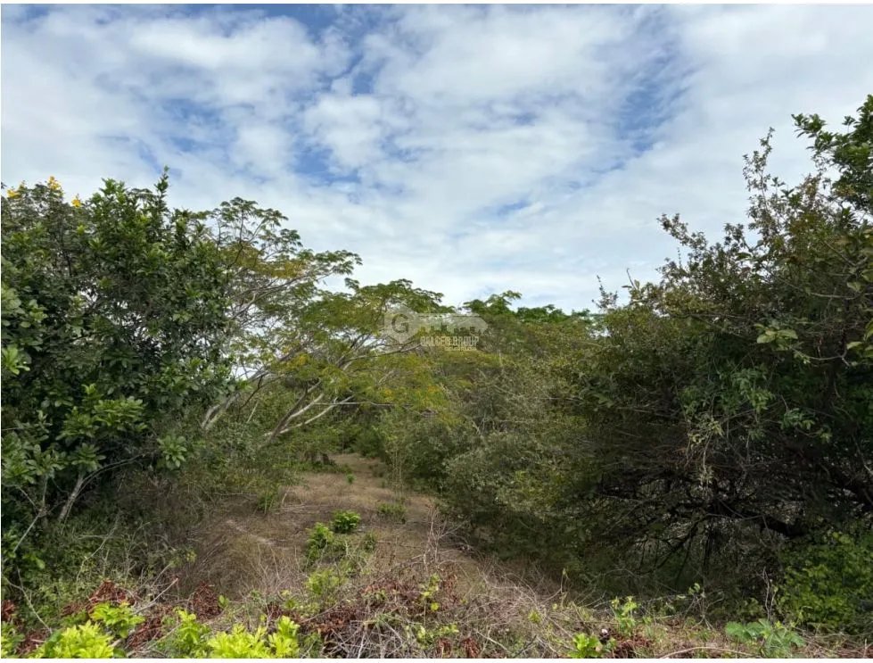 Building Lot for sale in San Carlos