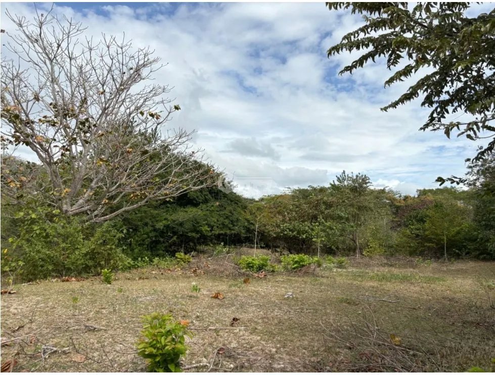 Building Lot for sale in San Carlos