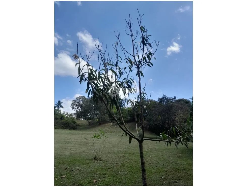 SAN CARLOS / EL VALLE VILLAGE / 1600M / AREA SOCIAL / PISCINA / AG