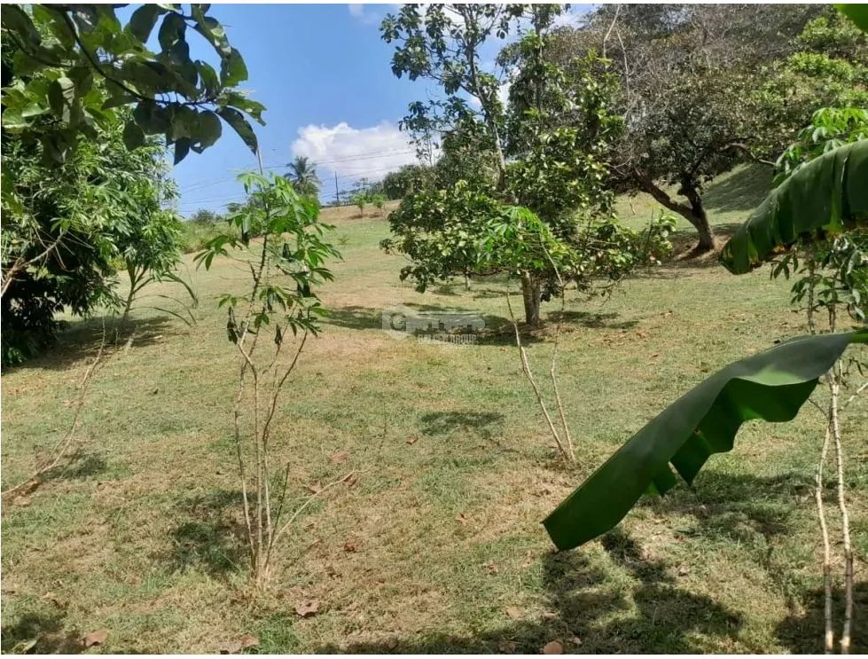 Building Lot for sale in San Carlos