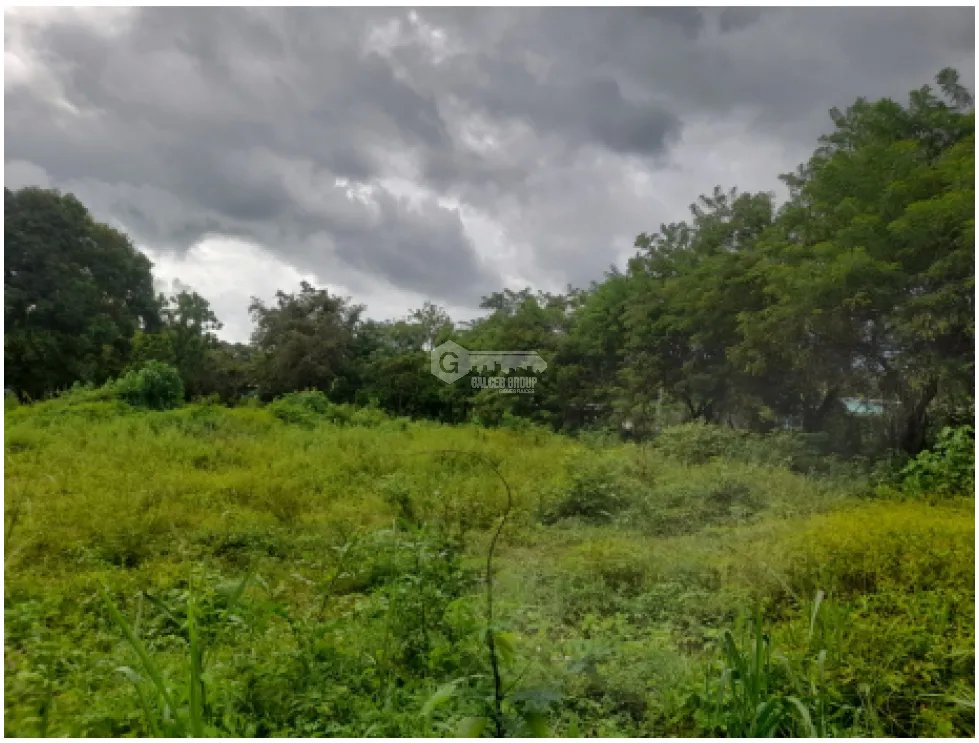 COCLE / RIO HATO / 5606M / SOBRE LA VIA / TOPOGRAFIA PLANA / AG