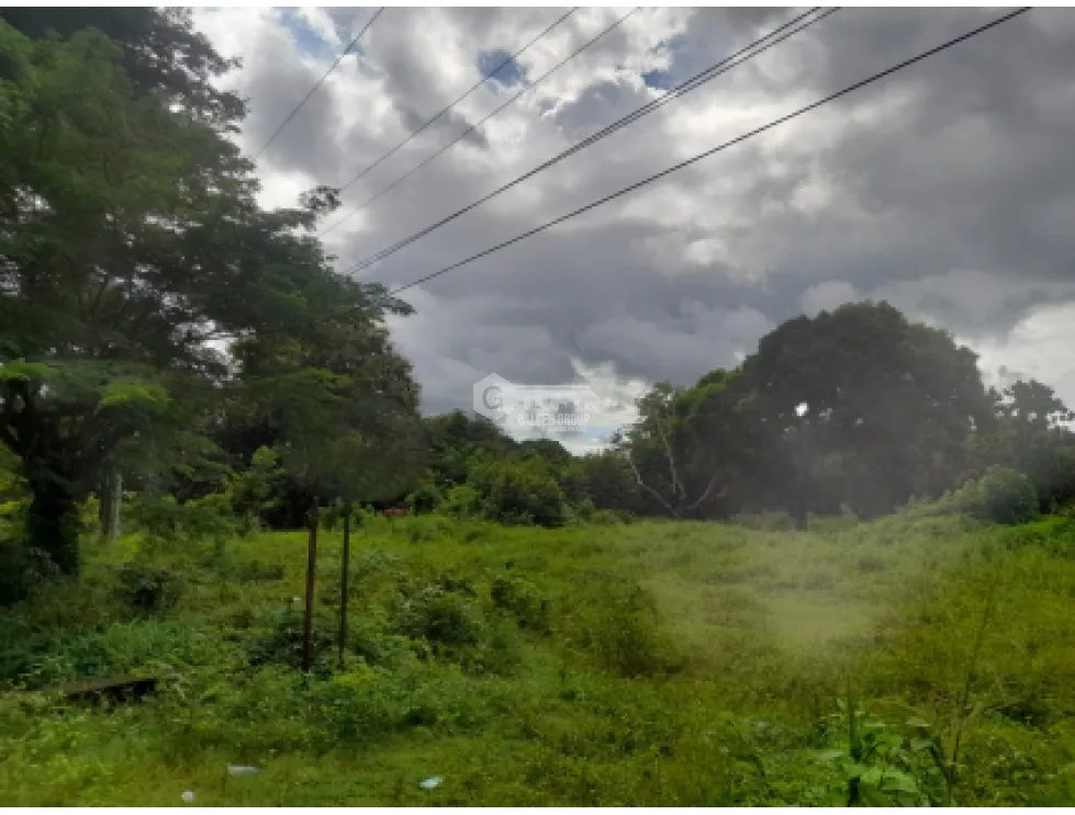 COCLE / RIO HATO / 5606M / SOBRE LA VIA / TOPOGRAFIA PLANA / AG