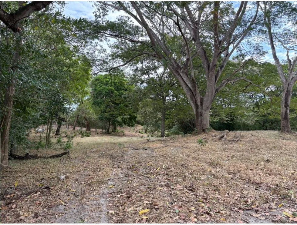 SAN CARLOS / LAS LAGARTIJAS / 250000M / GANADERIA / USO COMERCIAL AG