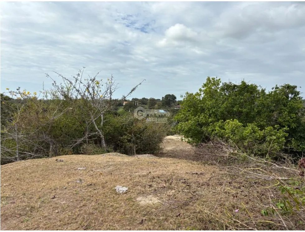 SAN CARLOS / LAS LAGARTIJAS / 250000M / GANADERIA / USO COMERCIAL AG