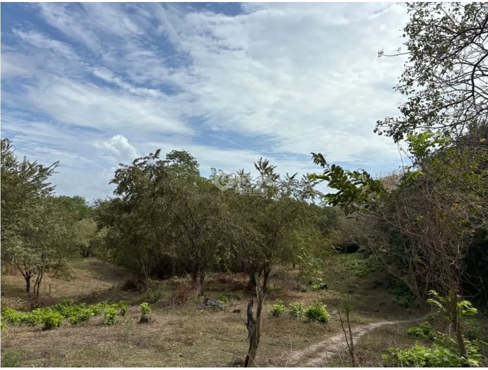 SAN CARLOS / LAS LAGARTIJAS / 250000M / GANADERIA / USO COMERCIAL AG