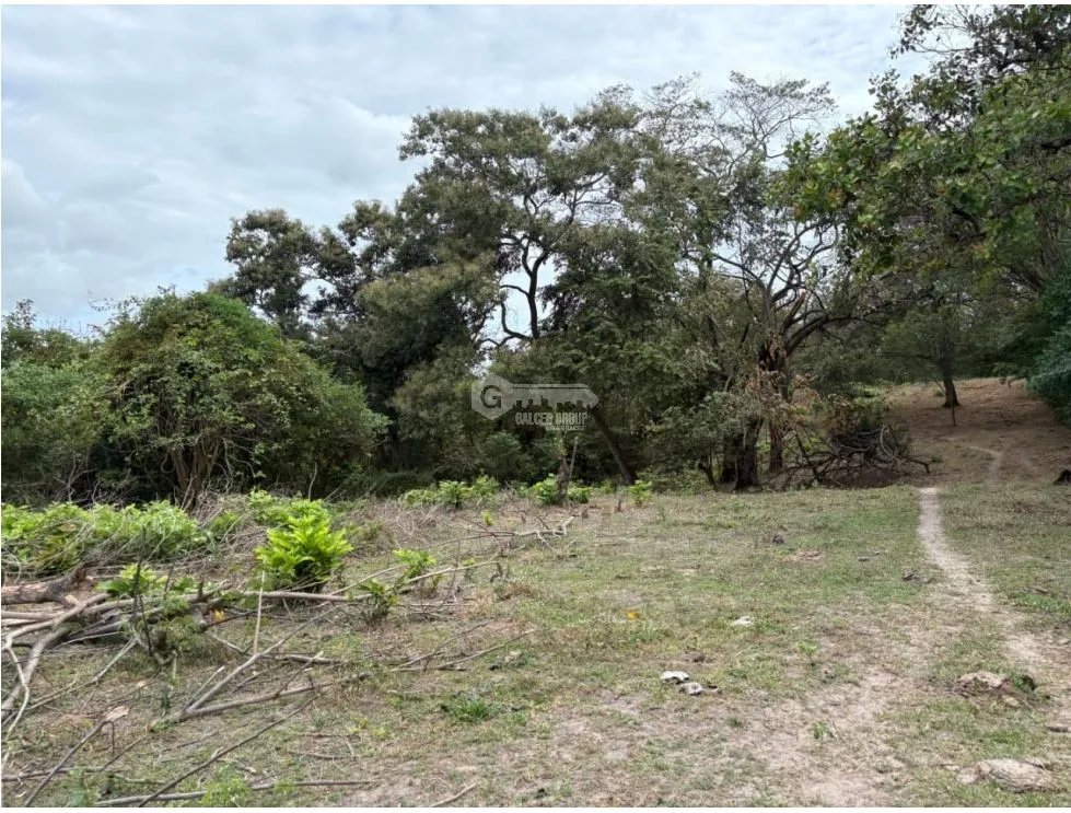 SAN CARLOS / LAS LAGARTIJAS / 250000M / GANADERIA / USO COMERCIAL AG