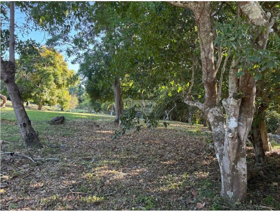 COCLE / SANTA CLARA / TERRENO / 5000 M / SOBRE LA VIA / CERCADO / AG