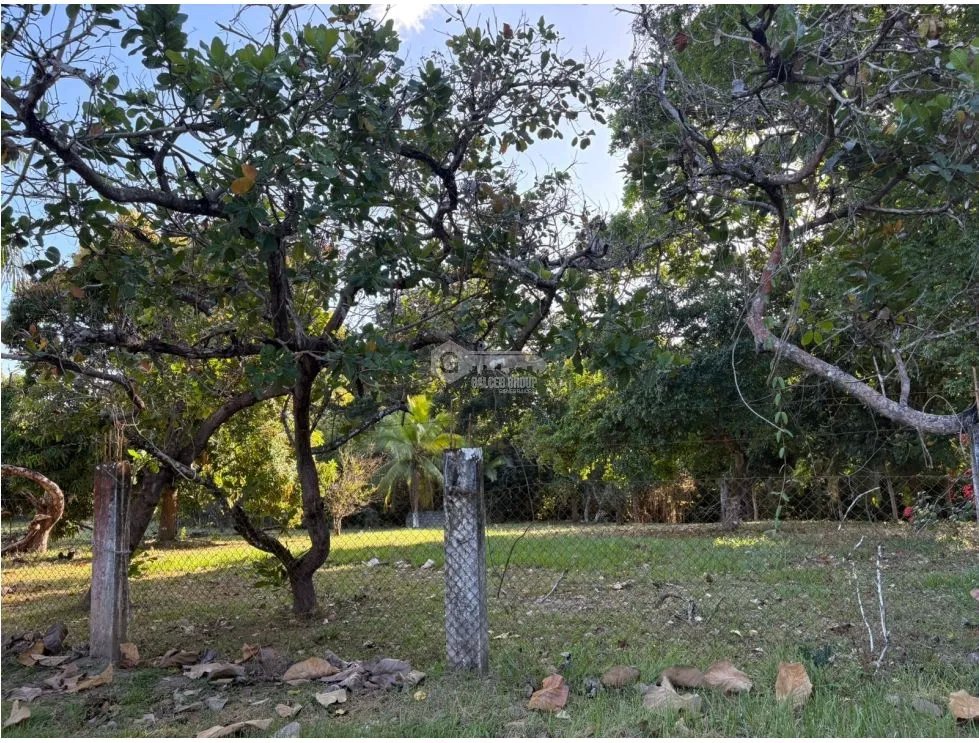 COCLE / SANTA CLARA / TERRENO / 5000 M / SOBRE LA VIA / CERCADO / AG