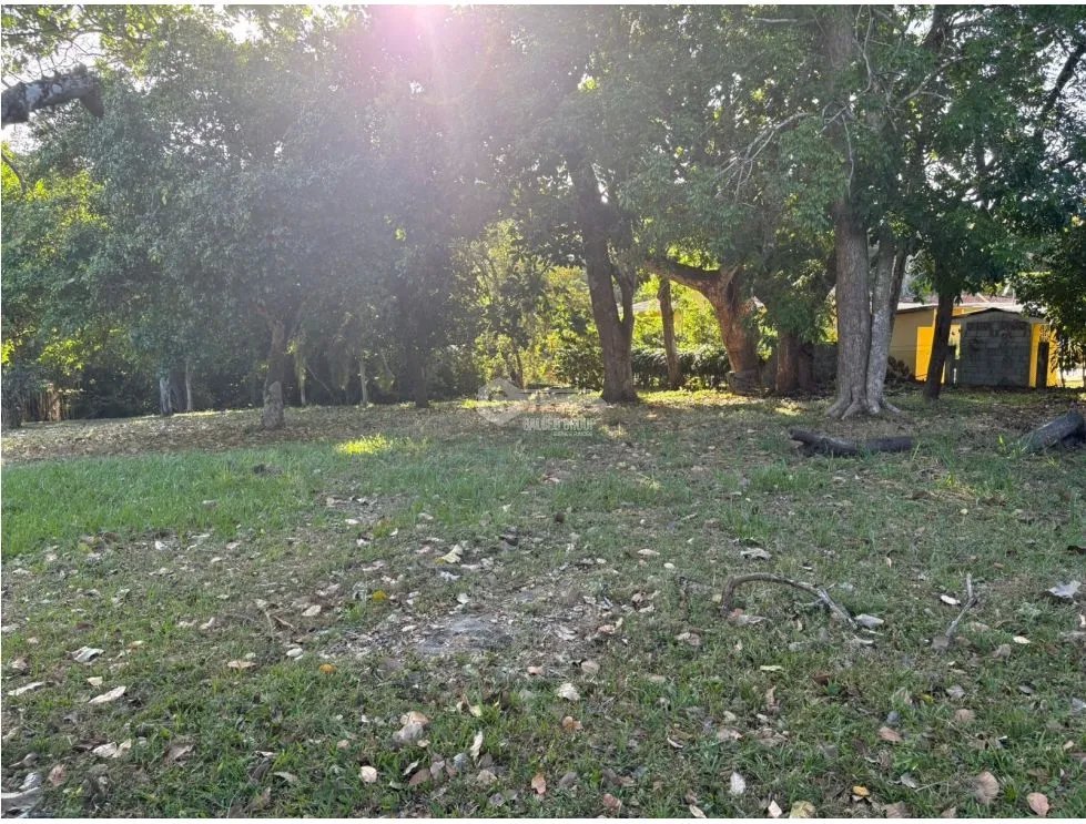 COCLE / SANTA CLARA / TERRENO / 5000 M / SOBRE LA VIA / CERCADO / AG