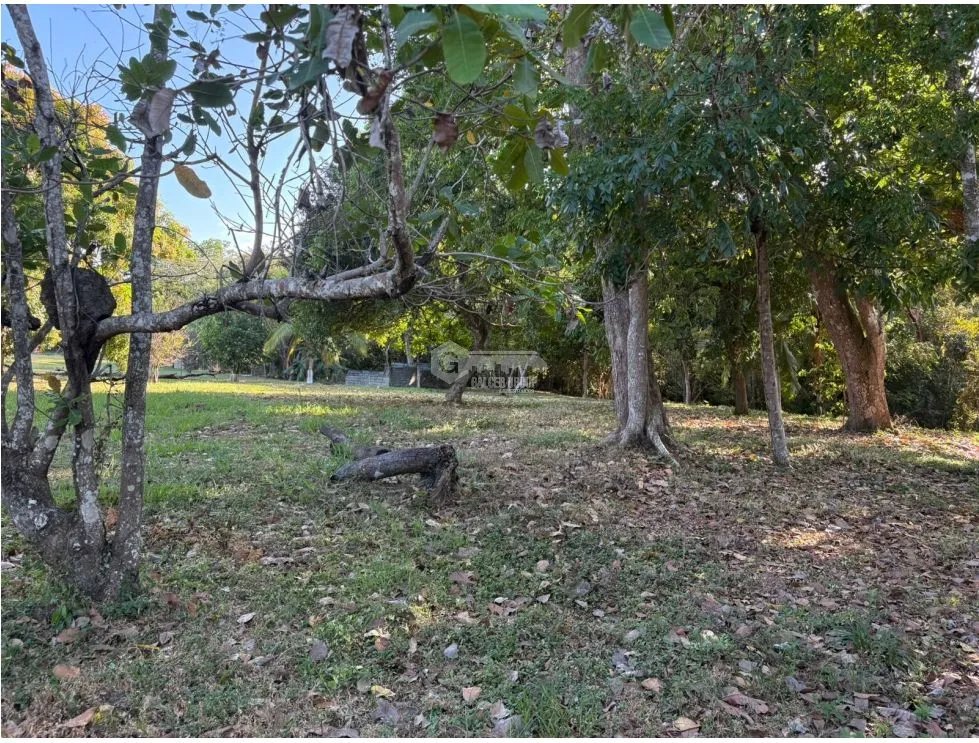 COCLE / SANTA CLARA / TERRENO / 5000 M / SOBRE LA VIA / CERCADO / AG