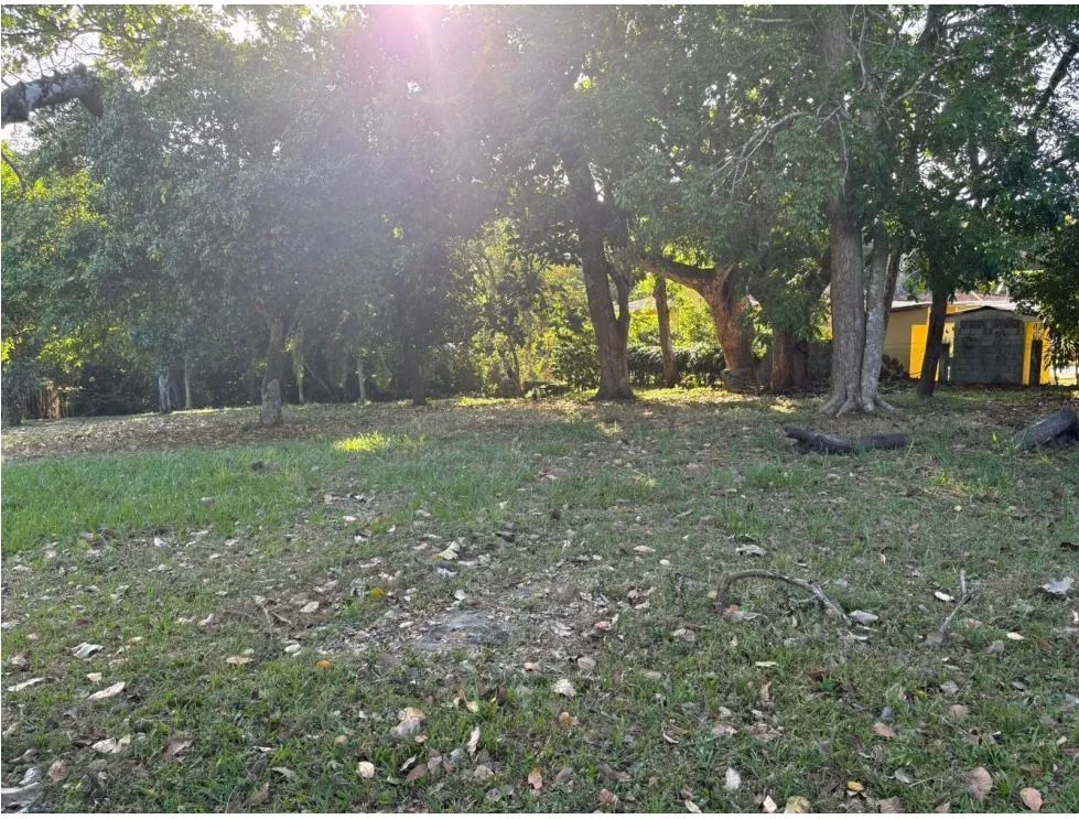 COCLE / SANTA CLARA / TERRENO / 5000 M / SOBRE LA VIA / CERCADO / AG