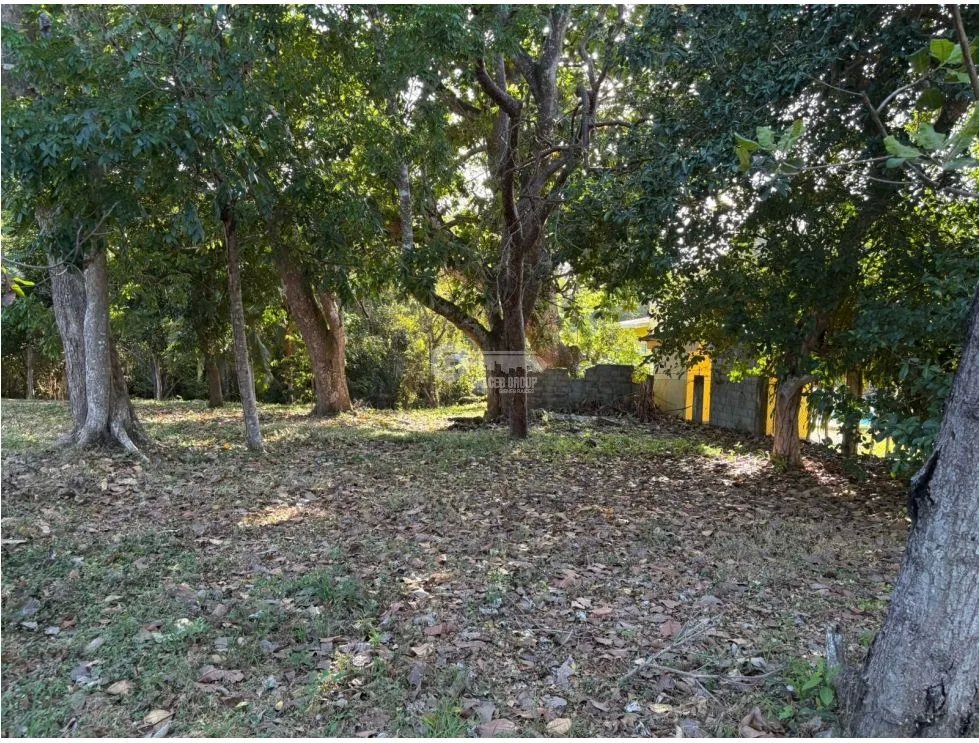COCLE / SANTA CLARA / TERRENO / 5000 M / SOBRE LA VIA / CERCADO / AG