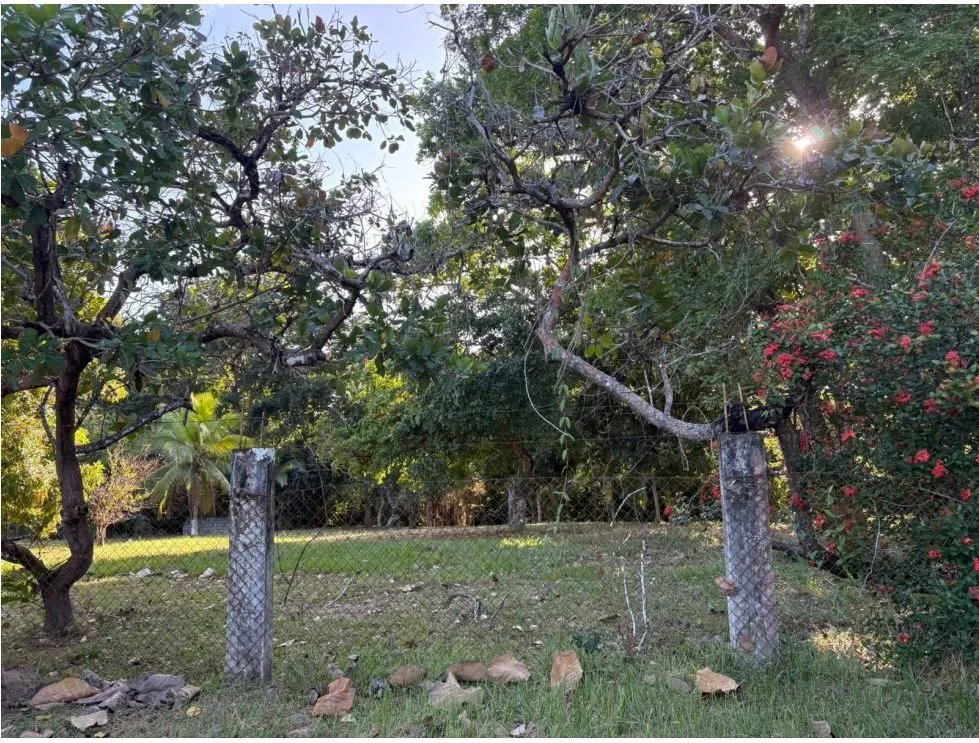 COCLE / SANTA CLARA / TERRENO / 5000 M / SOBRE LA VIA / CERCADO / AG