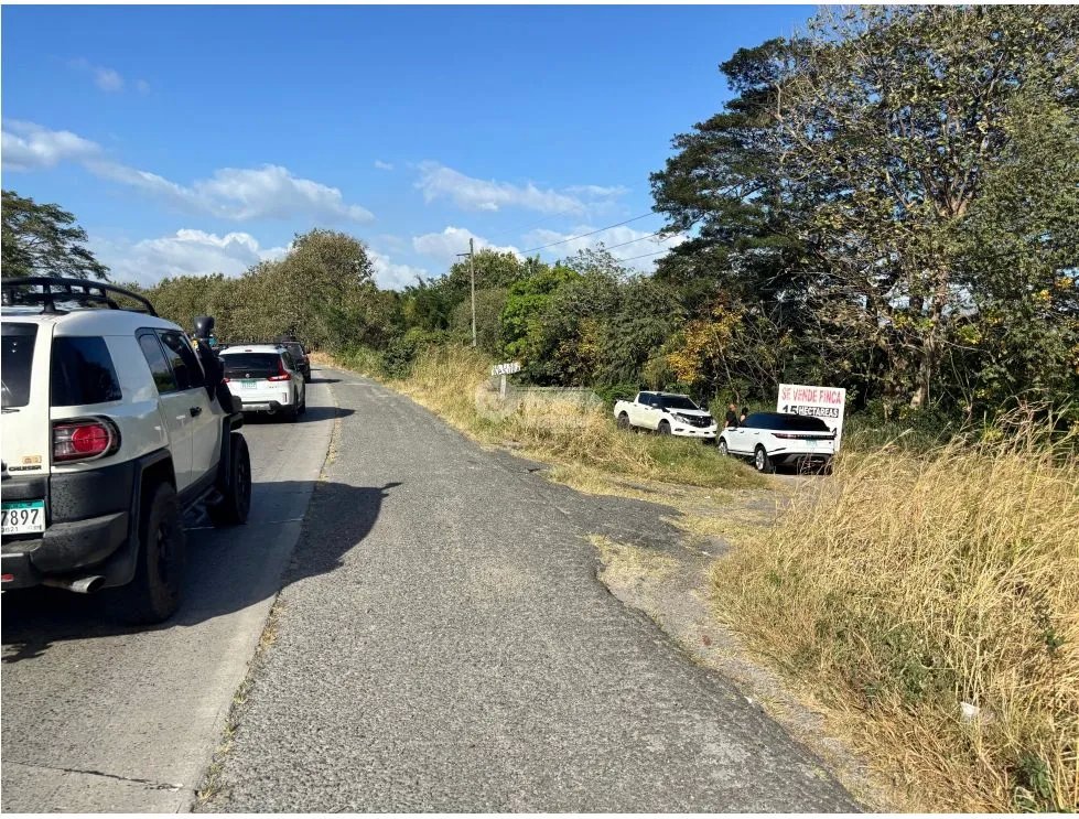 GORGONA / 5 HECTAREAS / VIA INTERAMERICANA PRINCIPAL / PANAMERICANA