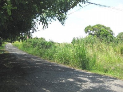 15557 - Coronado - lots