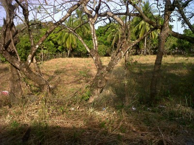 15751 - Coronado - lots