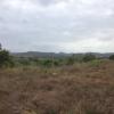 21179 - La Chorrera - lots