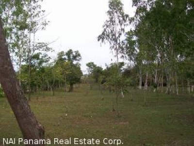 2369 - Coronado - lots