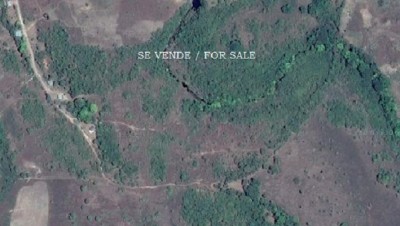 43162 - Veraguas - farms