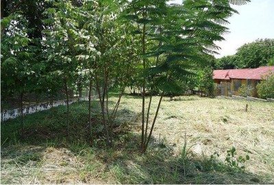 52132 - Coronado - lots