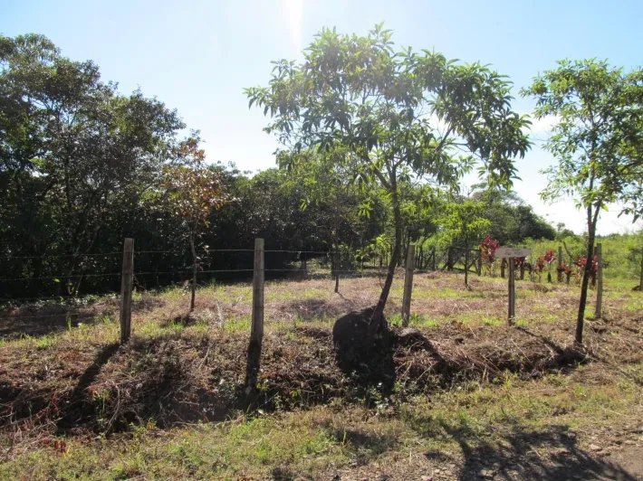 Lote con un arroyo en Potrerillos Arriba