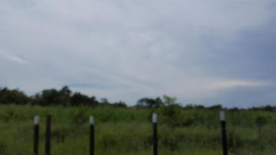 89241 - Rio hato - lots