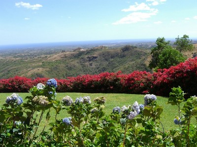 9075 - Coronado - lots