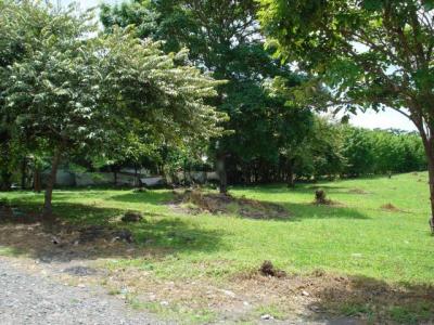 90798 - Coronado - lots