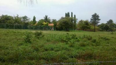 93247 - Coronado - lots