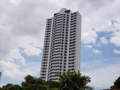 94685 - Coco del mar - apartments - ph dal mare