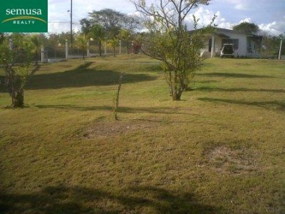9931 - Coronado - lots
